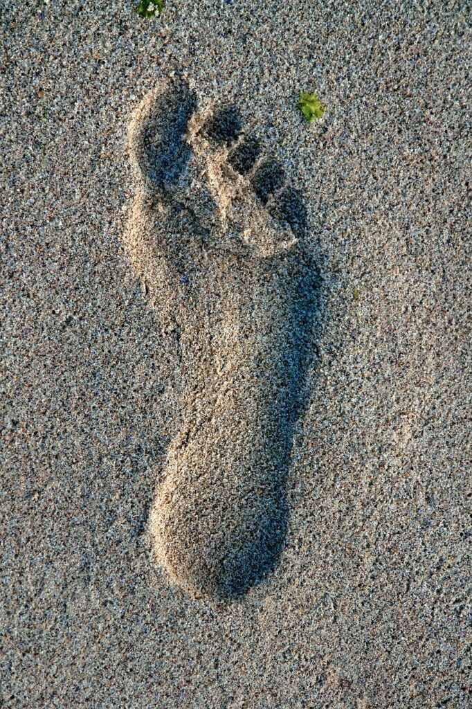 lotus feet of the guru, lotus feet, guru-2541546.jpg